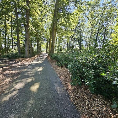 Bed and Breakfast Landgoed De Lavei Weleveld Экстерьер фото