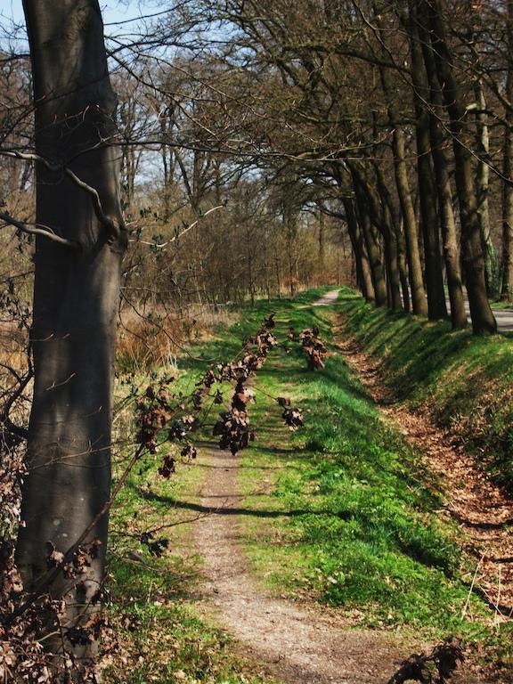 Bed and Breakfast Landgoed De Lavei Weleveld Экстерьер фото