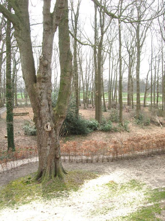 Bed and Breakfast Landgoed De Lavei Weleveld Экстерьер фото