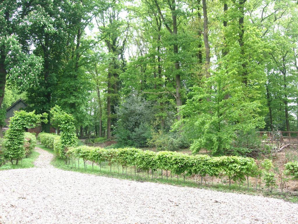 Bed and Breakfast Landgoed De Lavei Weleveld Экстерьер фото