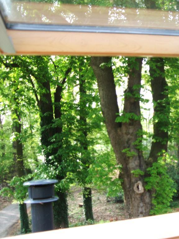 Bed and Breakfast Landgoed De Lavei Weleveld Номер фото
